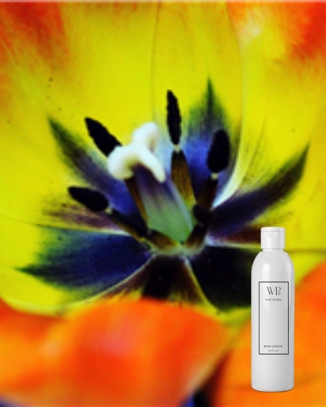 Body Lotion-Calypo Sun